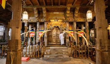 Vacances en famille au Sri Lanka (from Negombo to Galle)