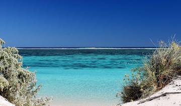 the Pacific