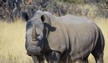 3 Day Etosha Budget Camping Safari