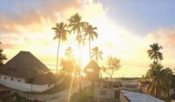 Tanzania & Zanzibar Island: African Safari, School Construction & Education, Swim with Dolphins