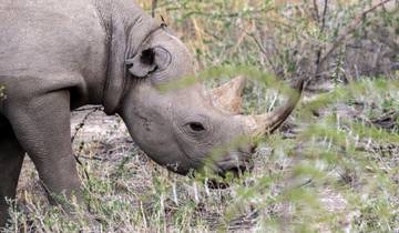 3 Day Namibia Itinerary, incl. Etosha and Swakopmund