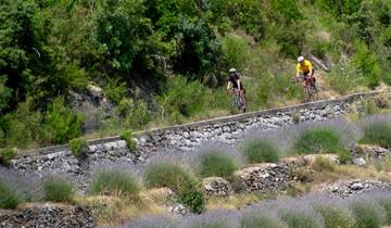 The Dalmatian Coast Classic-Croatia  guided Bike Tour Tour