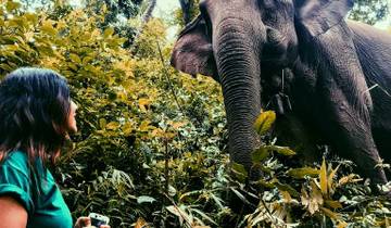 Tribus des collines du nord de la Thaïlande : Conservation de l\'environnement, éducation et Treks à dos d\'éléphant circuit