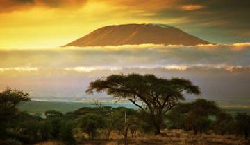 Mt Kilimanjaro Climb - 8 days