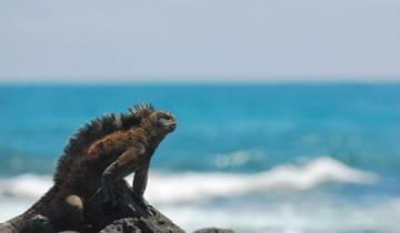 Galapagos at a Glance: Southern Islands (Grand Daphne) Tour