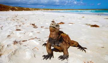 Ultimate Galapagos: Central Islands (Grand Daphne) Tour