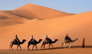 Marrakech & Sahara - Private Tour - 8 Days