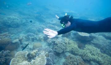 14 Day East Australia Itinerary, incl. Cairns and Sydney