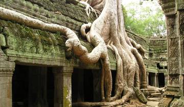 Cambodia & Vietnam Discovery