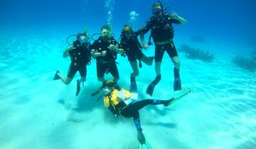 Eye On The Reef - Marine Conservation Program on the Great Barrier Reef Tour