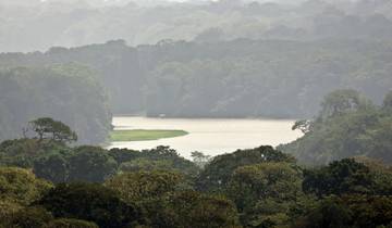 3 Days in Tortuguero National Park, incl. San Jose and Tortuguero