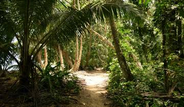 3 Days in Tortuguero National Park, incl. San Jose and Tortuguero