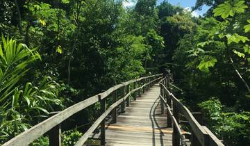 Manaus Amazon Jungle Adventure 4D/3N Tour
