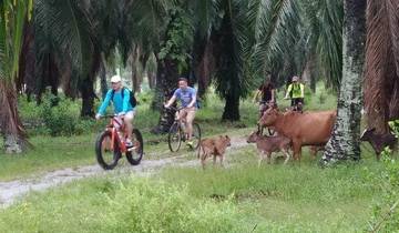 21 Days in Southeast Asia, incl. Bangkok and Singapore