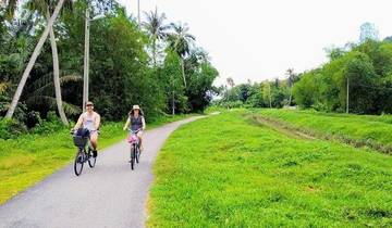 21 Days in Southeast Asia, incl. Bangkok and Singapore
