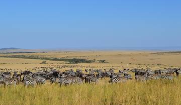 Masai Mara Camping Safari Tour