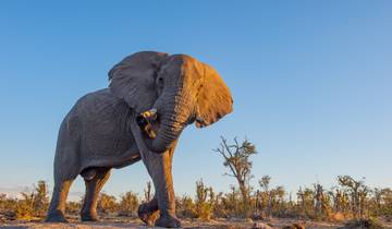 Botswana Wildside (Maun von)