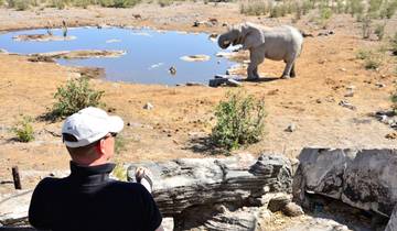 14 Days in Southern Africa, incl. Cape Town and Etosha