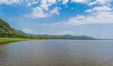 Day Trip - Lake Manyara National Park