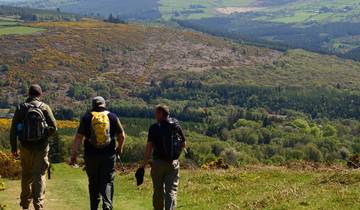 Le chemin de Wicklow : 8 jours autoguidés