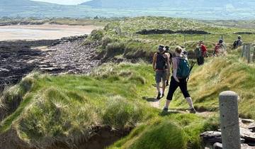The Dingle Way - autoguidé en Irlande - 8 jours