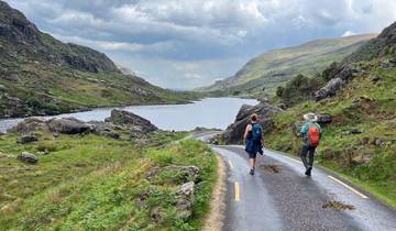 Circuit de 7 jours dans le sud et l'ouest de l'Irlande