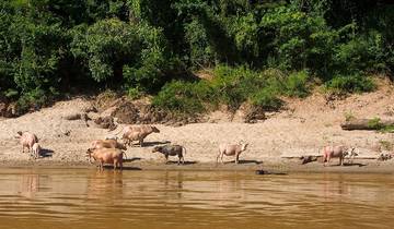 Goldenes Dreieck: von Vientiane bis Chiang Mai - 10 Tage