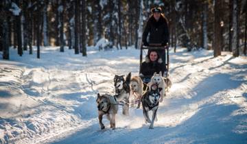 Adventure to Finnish Lapland, Saariselkä (different departures)