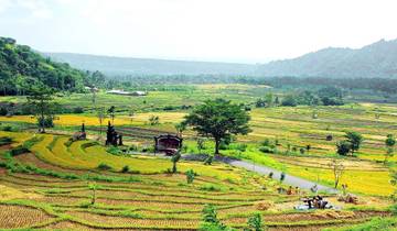 13 Day Bali Itinerary, incl. Denpasar and Ubud