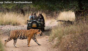 Super Saver Gouden Driehoek Tour met Ranthambore