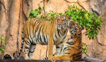 Golden Triangle Tour with Ranthambore Tour