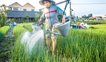 7 Day Vietnam Itinerary, incl. Ho Chi Minh City and Hoi An