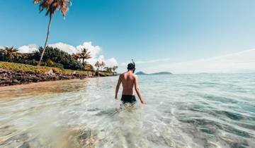 8 Days in Hawaii, incl. Honolulu and Maui