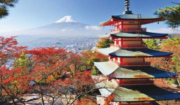 Splendours of Japan (Hiroshima, 13 Days) Tour