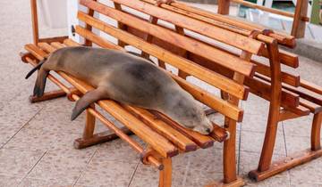 7 Day Galapagos Islands Itinerary, incl. San Cristóbal and Santa Cruz