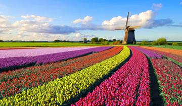 7 Day Netherlands Itinerary, incl. Amsterdam and Rotterdam