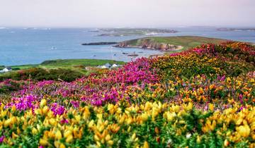 14 Day Ireland Itinerary, incl. Dublin and Belfast