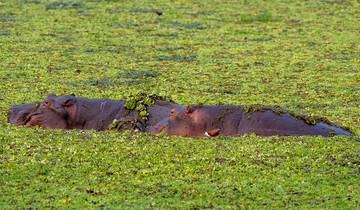 Van Vic Falls naar Zanzibar (van Victoria Falls naar Zanzibar)-rondreis