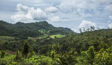 10 Days in Northern Thailand, incl. Bangkok and Chiang Mai