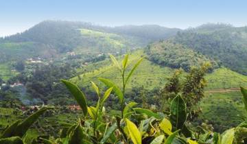 Nilgiri Hills - 5 days Tour