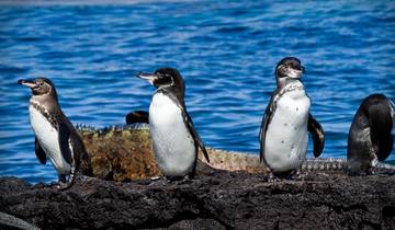 10 Day Galapagos Islands Itinerary, incl. San Cristobal and Isabela