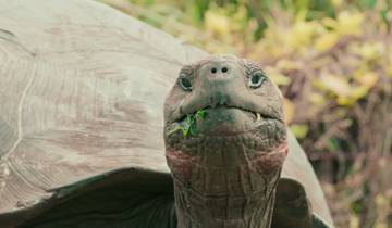 10 Day Galapagos Islands Itinerary, incl. San Cristobal and Isabela