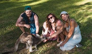 8 Days in Sydney, incl. Downtown and Port Stephens