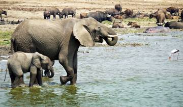 7-day Kruger to Victoria Falls (Accommodated)