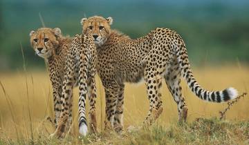 24-day Masai Mara to Victoria Falls (Accommodated)