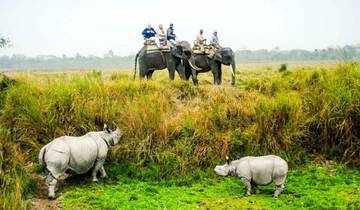 Wonders of North-East with Wildlife in Kaziranga