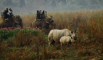 Merveilles du Nord- Est avec la faune à Kaziranga