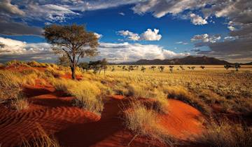 20 Day Southern Africa Itinerary, incl. Cape Town and Victoria Falls