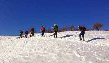 Transylvania Winter Walk & Snowshoe Tour