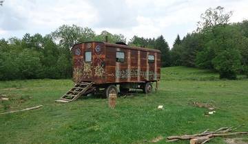 Carpathian Walking & Bears